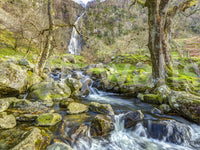 Cascading Highland Waterfall Stream Wall Mural