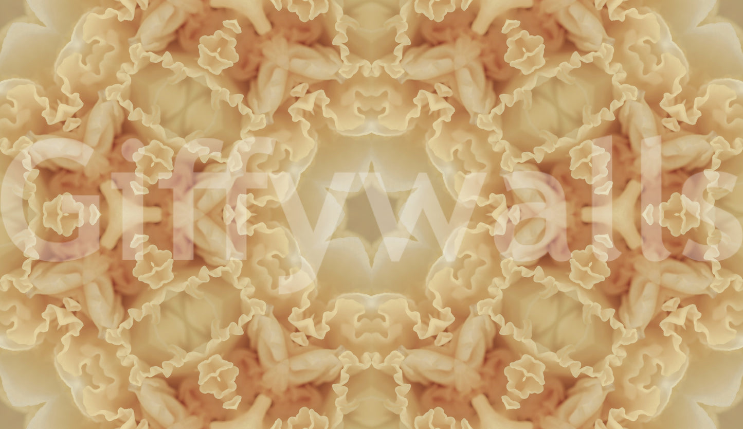 Soft Peach Ruffled Kaleidoscope Wallpaper⁠