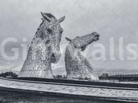 Metallic Horse Heads Architectural View Wall Mural