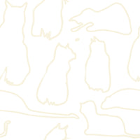 Munki and the Spot - Milk & Cream Wallpaper⁠