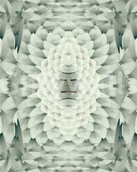 Sculptural Geometric Floral Wallpaper - GARDENIA DESIGN Wallpaper⁠