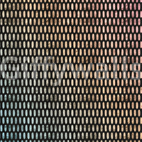 Iridescent Ovals on Black Wall Mural