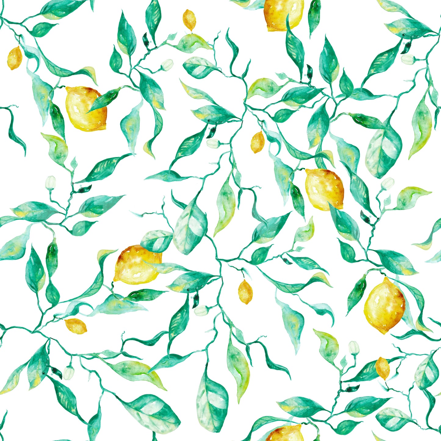 Mediterranean Citrus Grove Orchard Wallpaper⁠