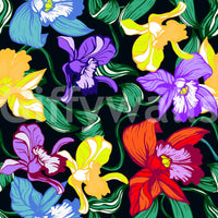 Vibrant Tropical Orchid Bloom Wallpaper⁠