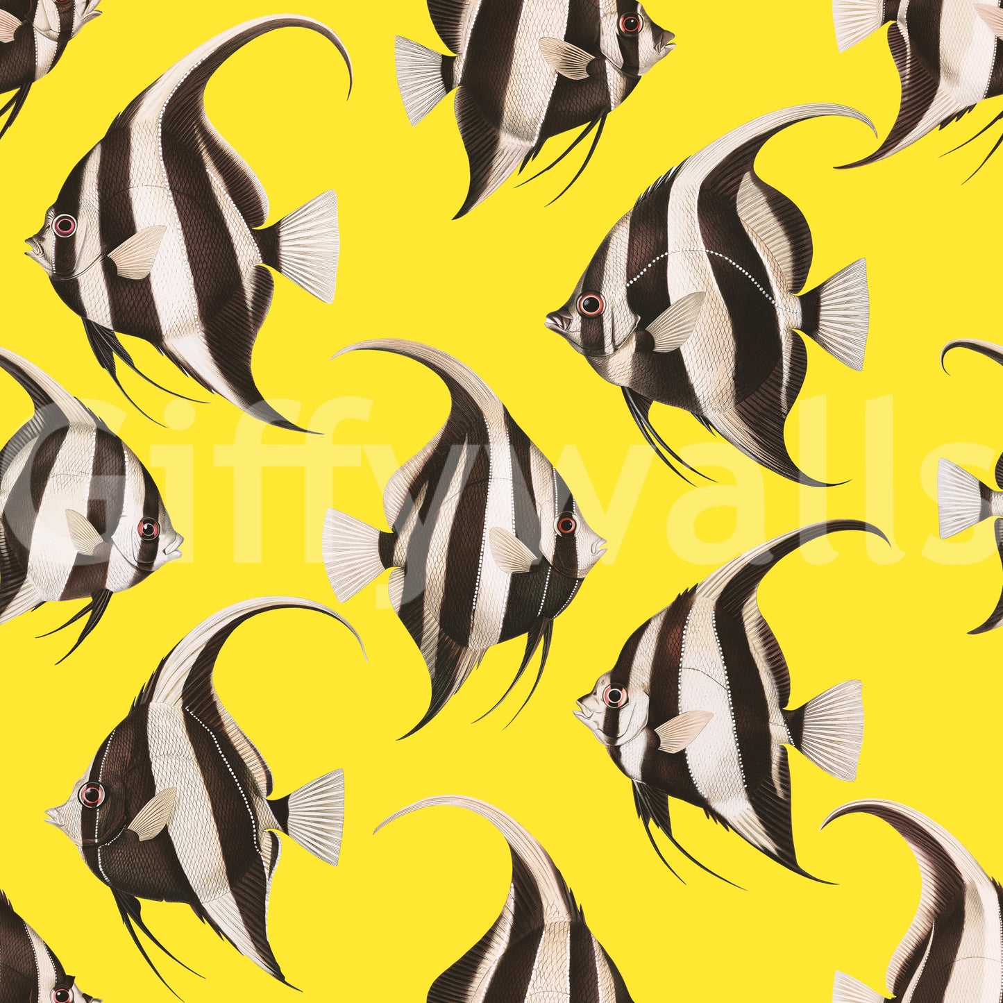 Spade The Fish 03 Wallpaper⁠