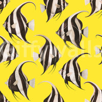 Spade The Fish 03 Wallpaper⁠