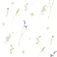 Pressed grasses with tiny purple bellflowers and yellow blooms on white GD12291
