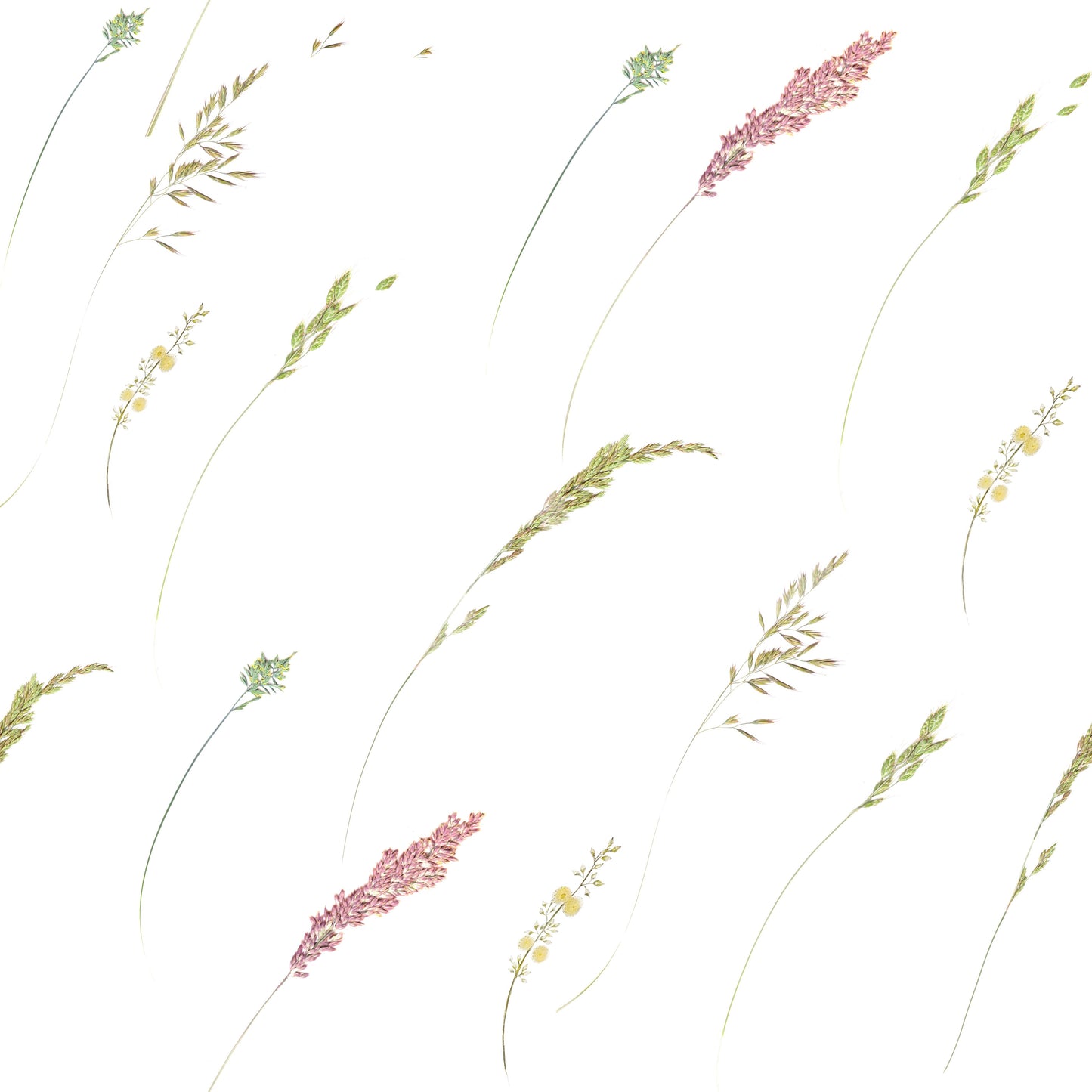 Ethereal Botanical Stems Wallpaper⁠