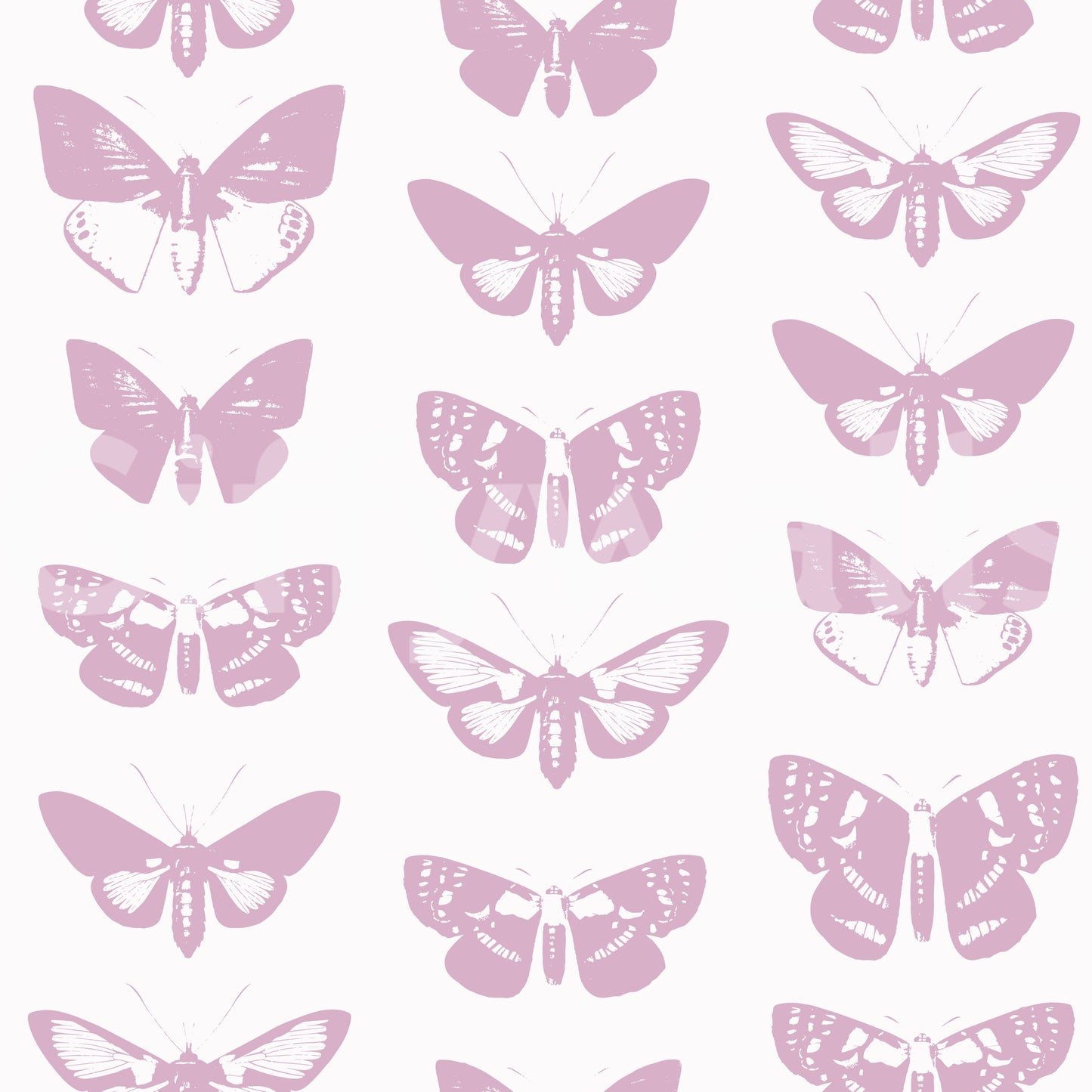 Soft Pink Moth Assemblage Wallpaper⁠