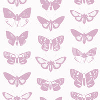 Soft Pink Moth Assemblage Wallpaper⁠