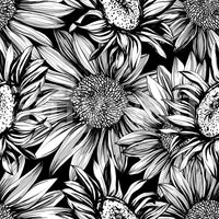 Monochrome Sunflower Sketch Bloom Wallpaper⁠