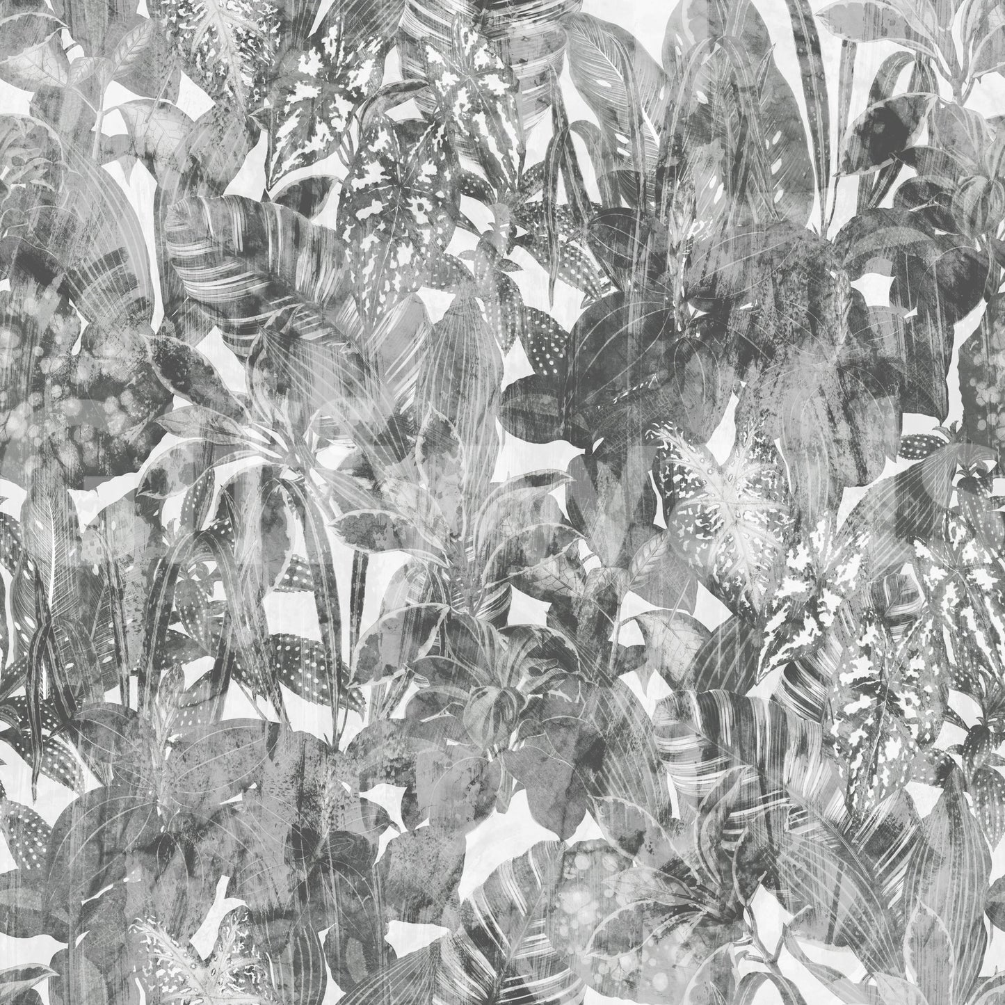 Monochrome Jungle Foliage Wallpaper⁠