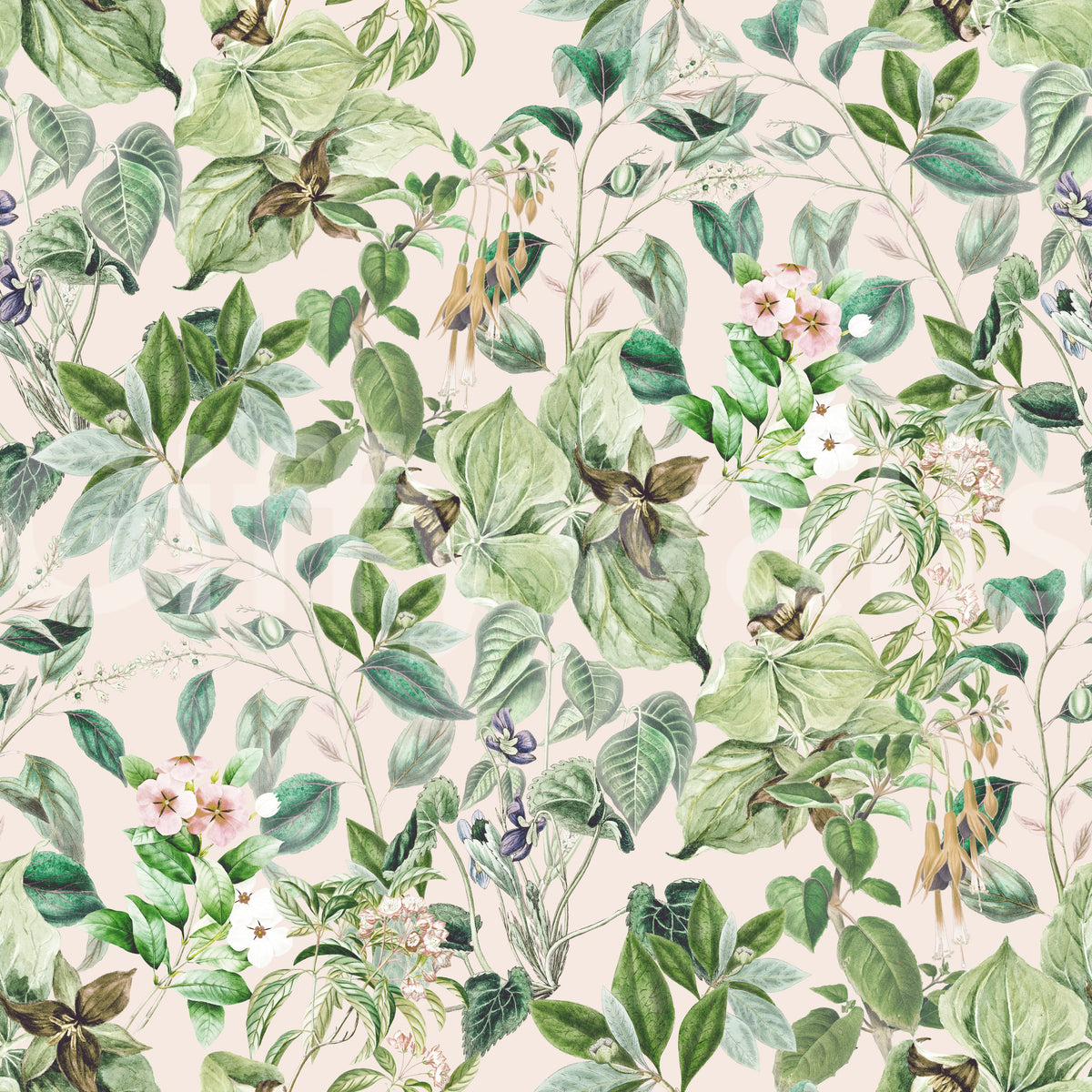 Soft sage floral meadow swatch of watercolour leaves and flowers on a blush ground GD12339