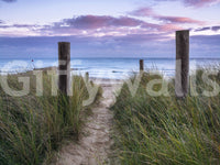 Coastal Grasses and Seascape Wall Mural
