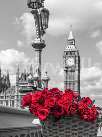 Crimson Blooms in Central London Wall Mural
