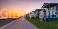 Golden Hour Promenade Wall Mural