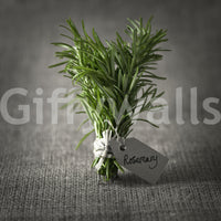 Rustic Herb Bundle Still Life Wall Mural