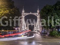 Metropolitan Bridge Light Trails Wall Mural
