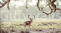 Stag Portrait in Golden Forest Light Wall Mural