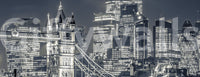 Monochrome Metropolitan Bridge View Wall Mural