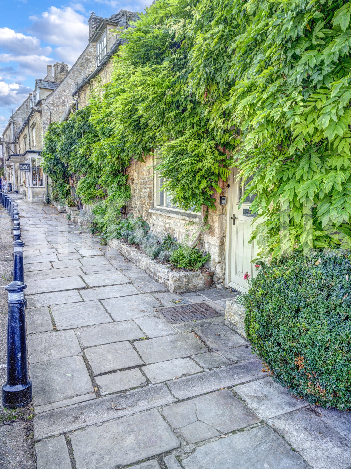 Rustic Stone Path and Climbing Ivy Wall Mural