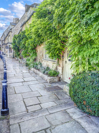 Rustic Stone Path and Climbing Ivy Wall Mural