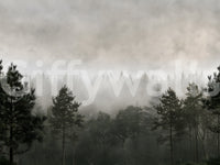 Sylvan Mist Monochrome Scene Wall Mural