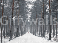 Misty Snowy Path Through the Pines Wall Mural
