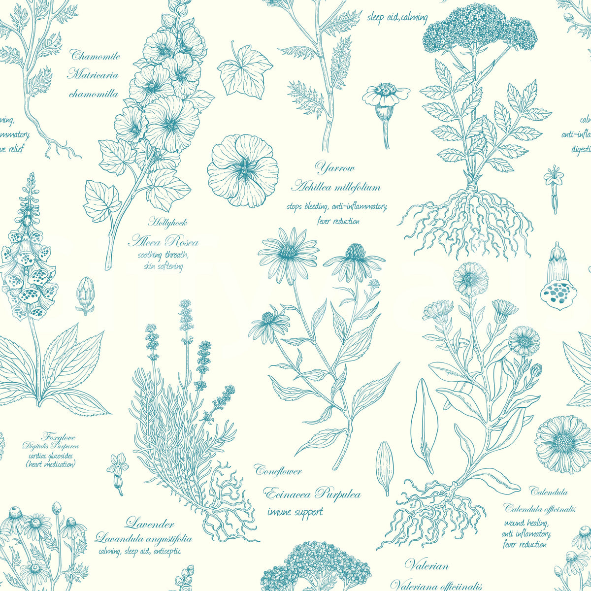 Botanical Sketch Herbarium Illustration Wallpaper⁠