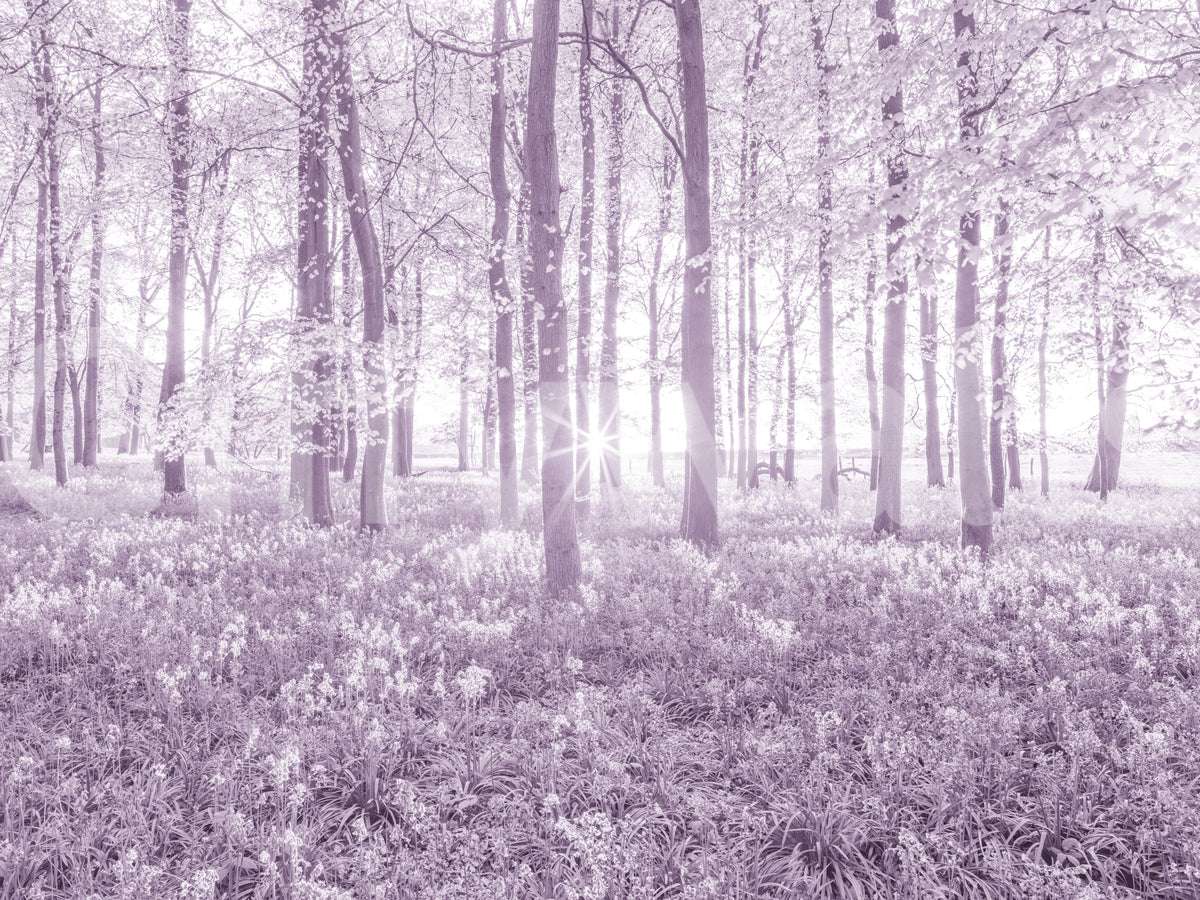 Sunlit Forest Canopy in Pastel Lilac Wall Mural