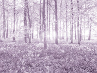 Sunlit Forest Canopy in Pastel Lilac Wall Mural