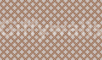 Minimalist Terracotta Geometric Grid Wallpaper⁠