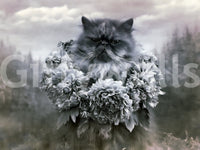 Persian Cat with Floral Wreath Wall Mural