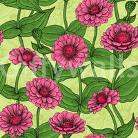 Garden Zinnia Botanical Illustration Wallpaper⁠