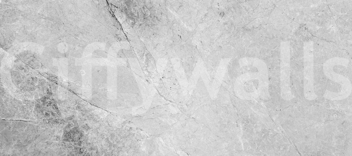 Monochromatic Stone Vein Texture Wall Mural