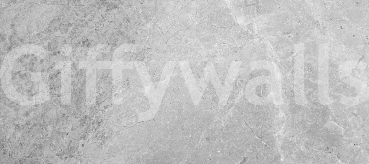 Classic Light Gray Stone Marble Wall Mural
