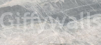 Cool Grey Marble Veined Stone Texture Wall Mural