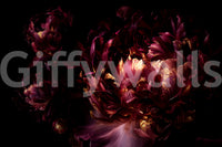 Midnight Crimson Bloom Wall Mural