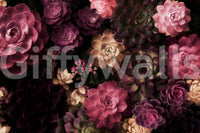 Midnight Succulent Garden Wall Mural