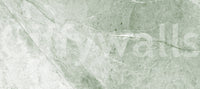 Serene Olive Stone Texture Wall Mural