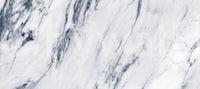 Classic Blue and White Marble Veins Wall Mural
