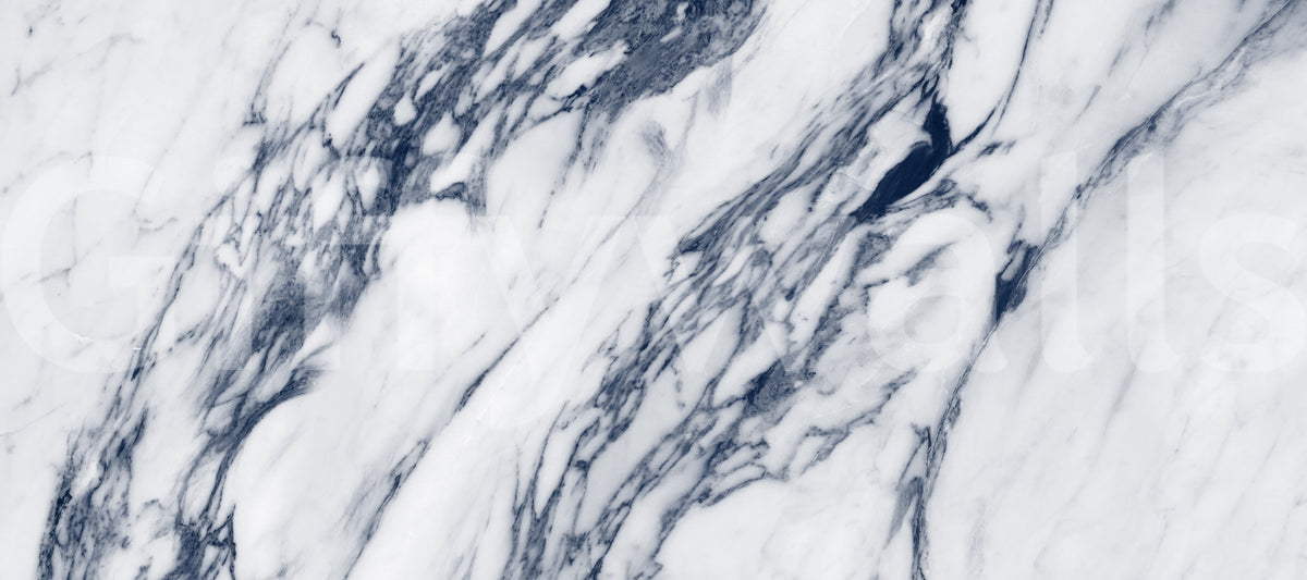 Monochrome Marble Vein Texture Wall Mural