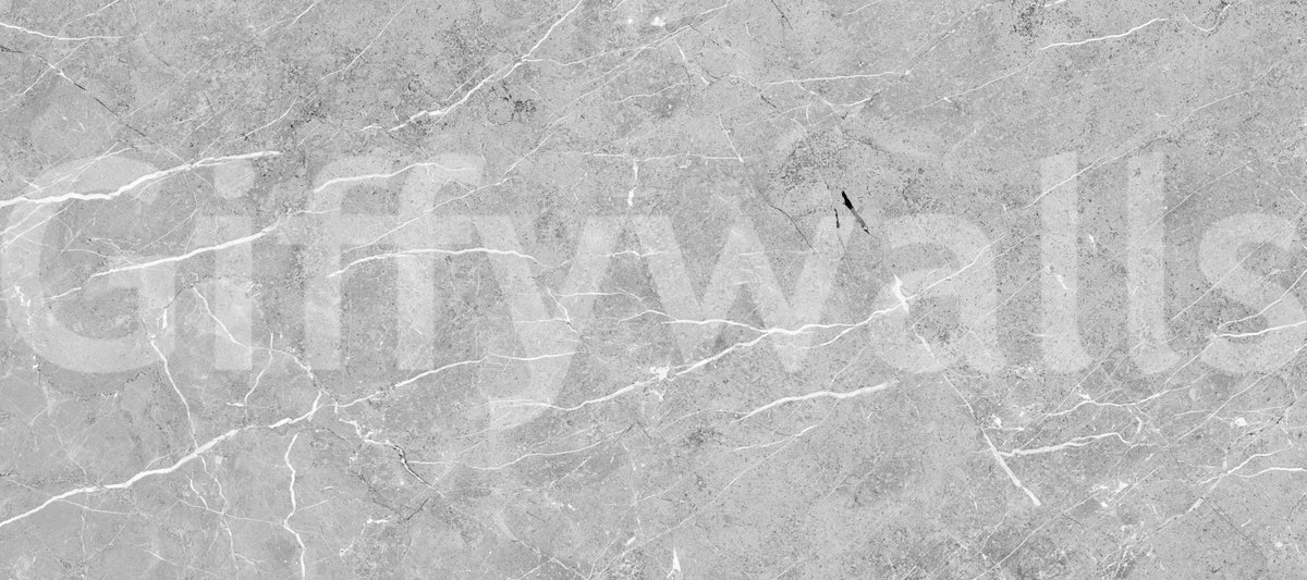Cool Grey Marble Veined Slab Wall Mural