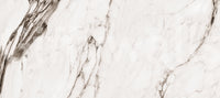 Monochrome Marble Veining Wall Mural