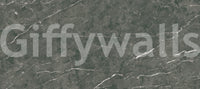Charcoal Veined Stone Texture Wall Mural
