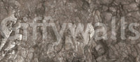 Weathered Stone Texture Wall Mural