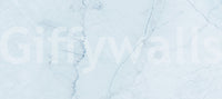 Serene Ice Blue Marble Slab Wall Mural