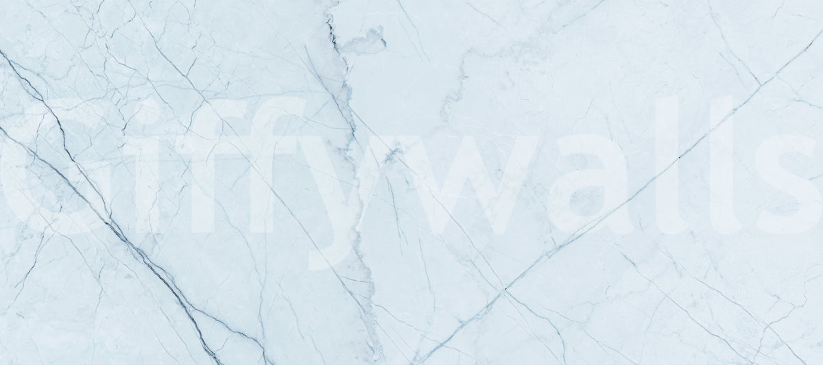 Cool Pale Marble Vein Wall Mural