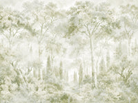 Eucalyptus Green Tuscan Forest Path Wall Mural