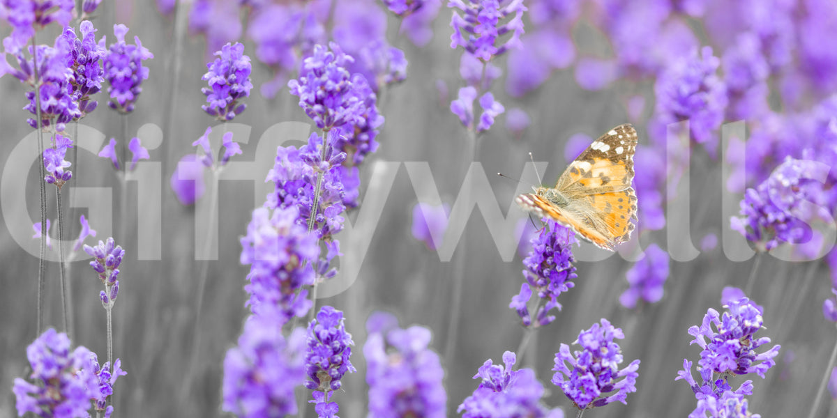 Purple Petals and Butterfly Garden Wall Mural